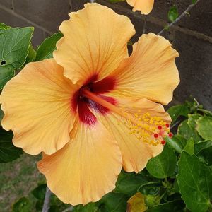 Meet your Posher, Martina